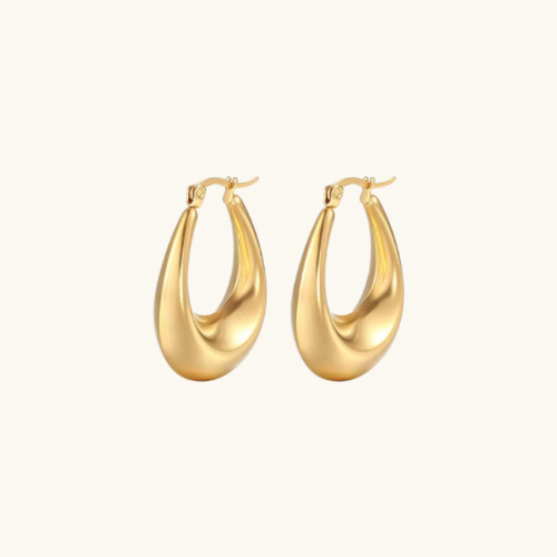 Stainless Steel & 18k Gold Plated Earring