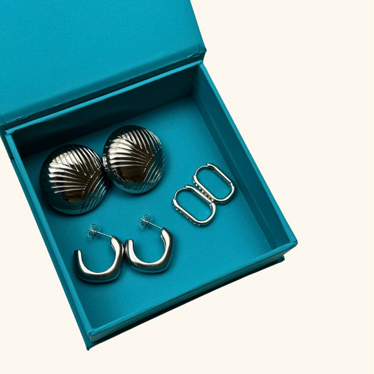 Stainless steel earrings